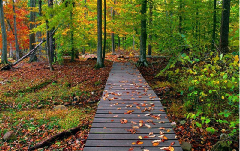 秋季飲食“三寶”是什么？貝朗線材彎線機小編告訴您