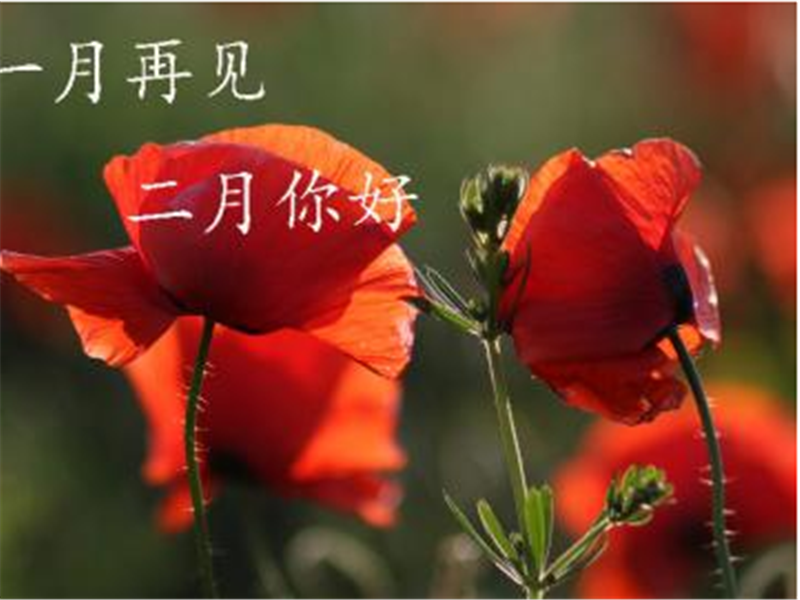 一月再見，美好的二月你好啊